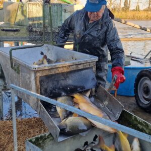 Ležánecký 25 (11)