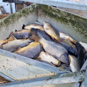 Ležánecký 25 (13)